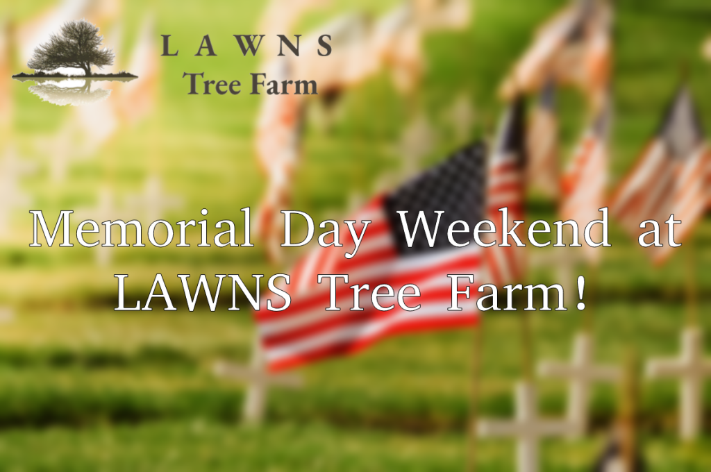 Memorial Day Weekend at LAWNS Tree Farm! LAWNS Tree Farm