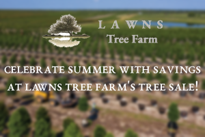 A vibrant image showcasing a variety of lush, mature trees in a picturesque landscape, with vibrant green foliage and blue skies in the background. The trees stand tall and majestic, casting dappled shadows on the ground below. In the foreground, a sign reads "LAWNS Tree Farm Summer Tree Sale" in bold, inviting lettering, against a backdrop of verdant foliage.