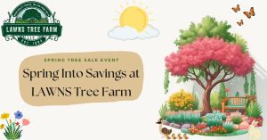 Spring sale at LAWNS Tree Farm – 25% off Oaks, Elm, and Privacy Plants until March 16th, 2025. Buy a tree by March 30th for a chance to win up to $400! Celebrate our 40th Anniversary March 28th-30th. Open Tues-Sun, 9 AM - 5 PM.